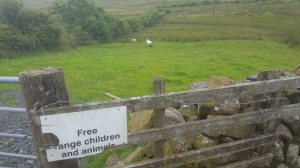 Free Range Children and Animals